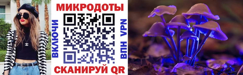Псилоцибиновые грибы мухоморы Онега