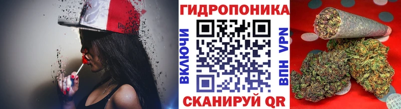Бошки Шишки Amnesia  Онега 